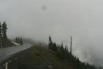 PICTURES/Marymere Falls and Hurricane Ridge Road/t_Mist2.JPG